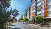 LONICERA CITY