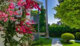 BITEZ GARDEN LIFE